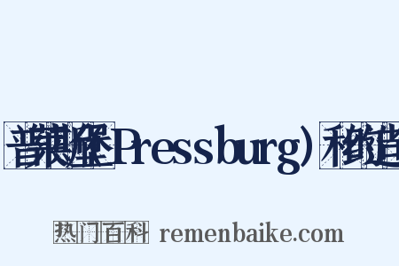 普莱斯堡(Pressburg)和约造句是什么意思的图片
